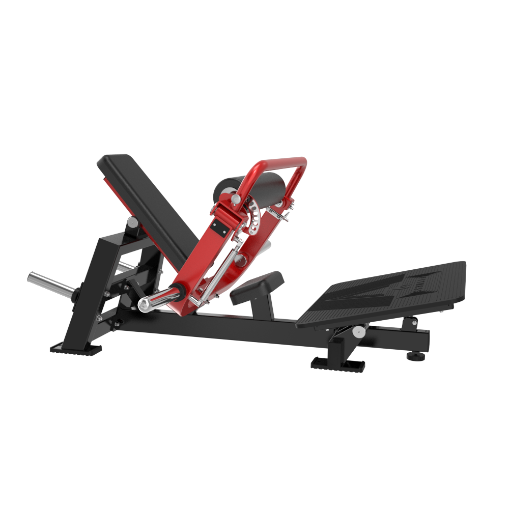 TM118 Hip Glute — Rear View