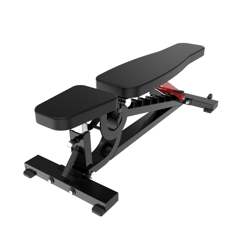 Adjustable Bench — Rear View