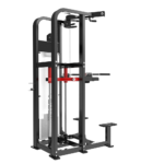 HS11 DIP /CHIN ASSIST