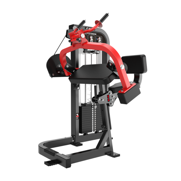 HS10 TRICEPS EXTENSION