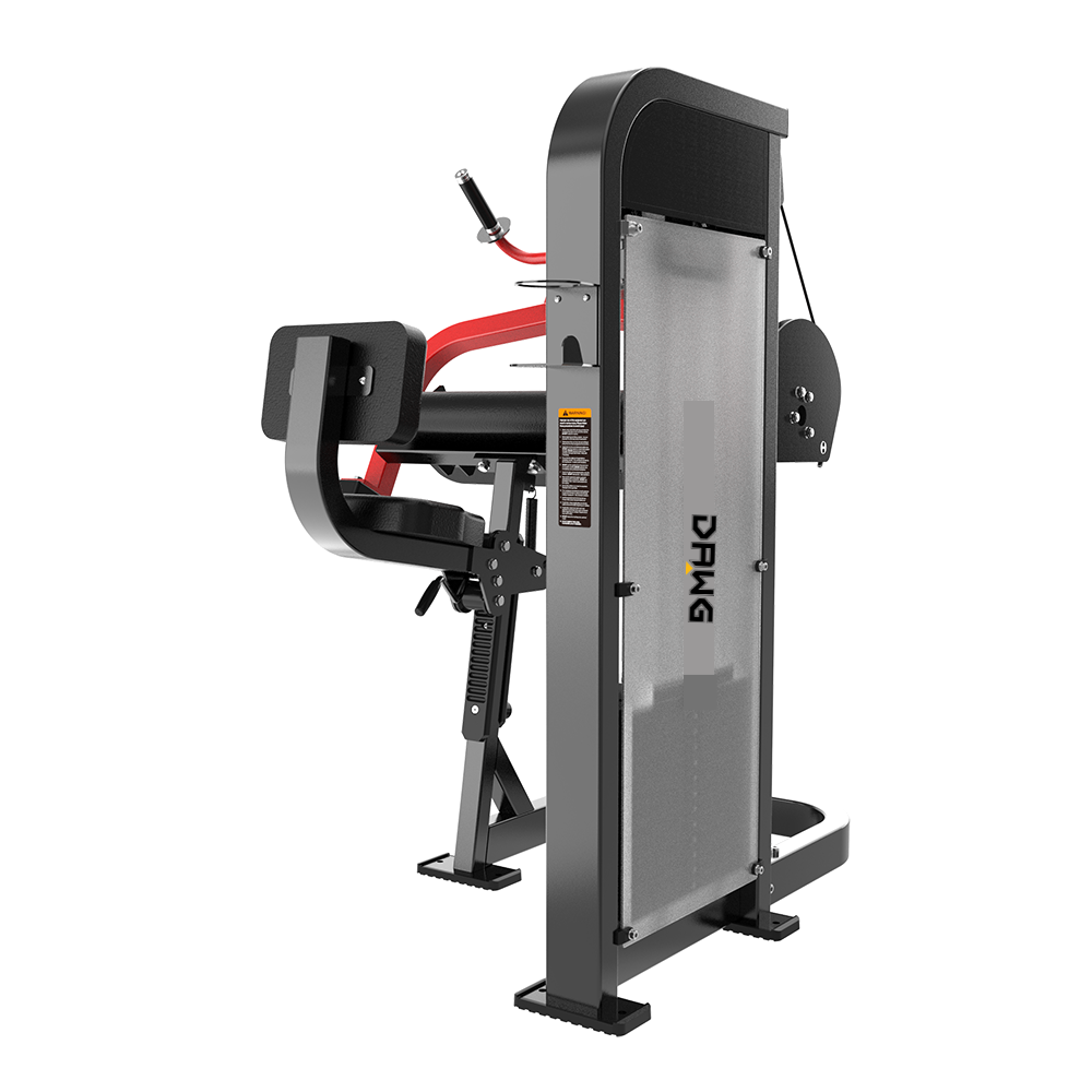 HS10 Triceps Extension — Rear View
