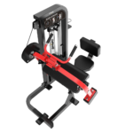 HS10 TRICEPS EXTENSION