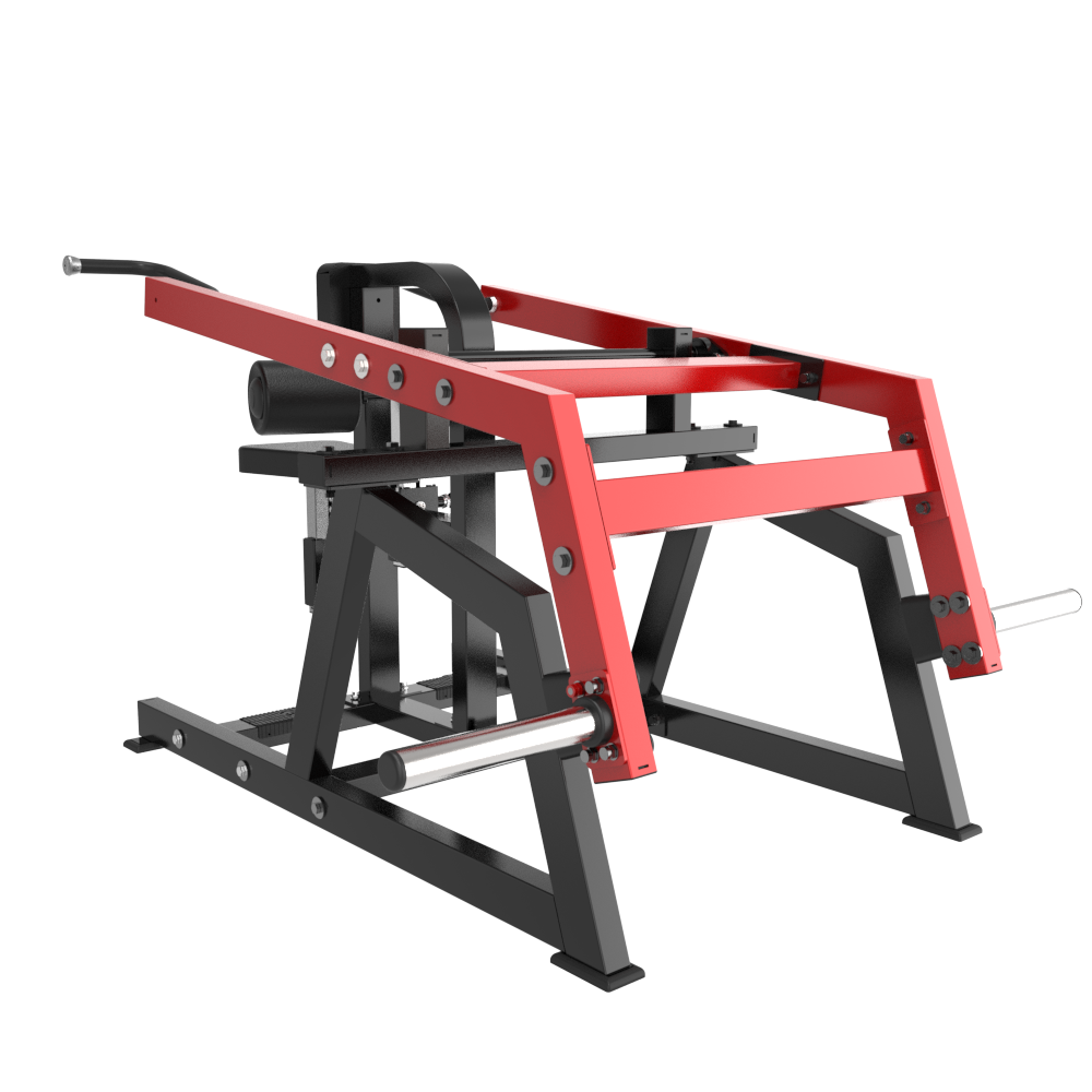 TM67 Seated Dip — Rear View