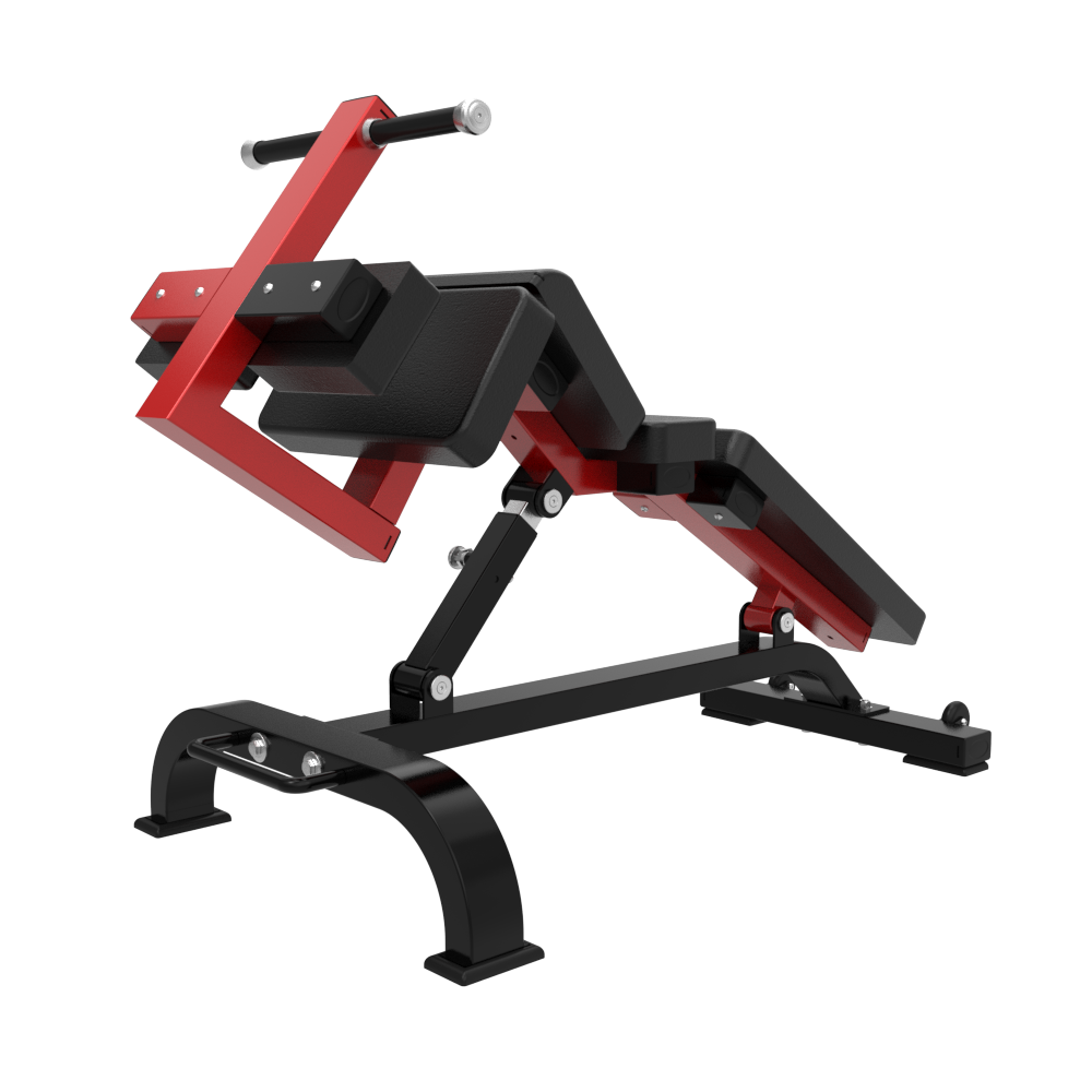 TM45 Adjustable Abdominal — Rear View
