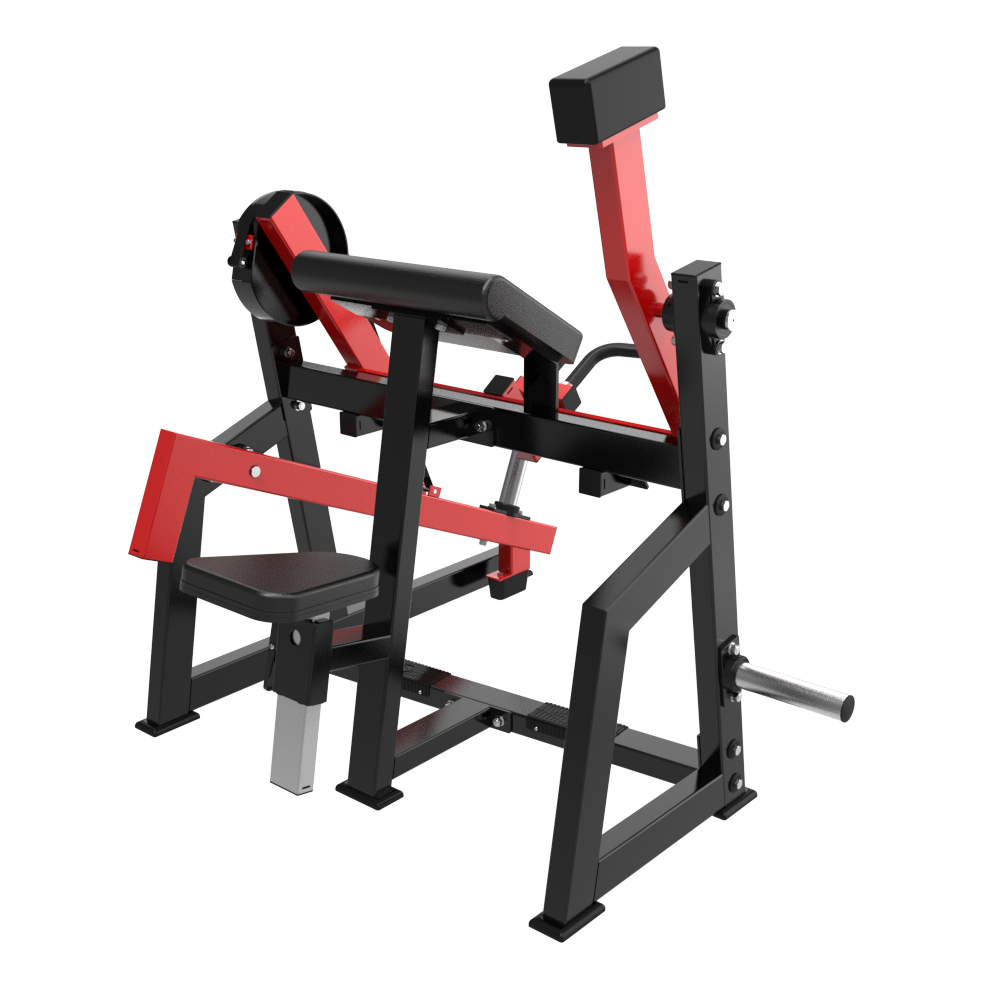 TM29 Seated Biceps — Rear View