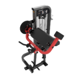 HS34 BICEPS/TRICEPS