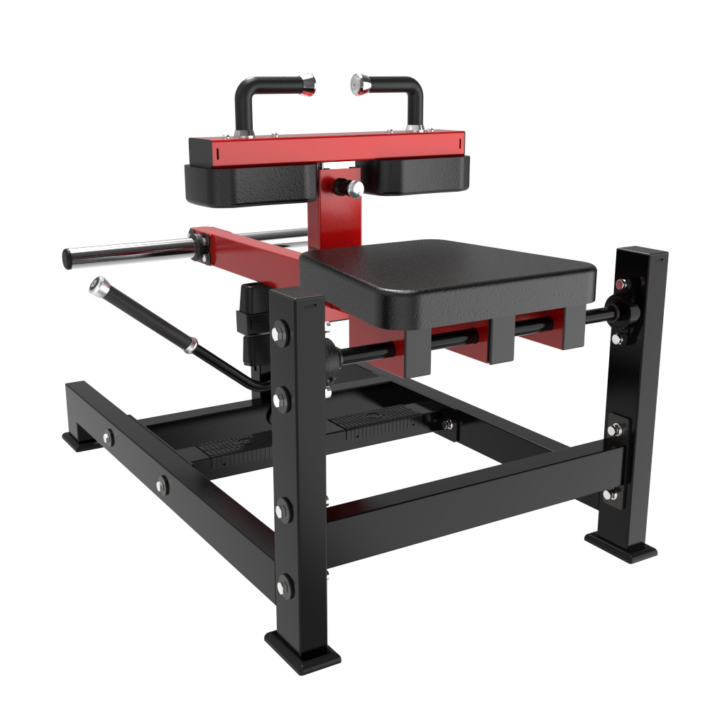 TM23 Seated Calf Machine — Rear View