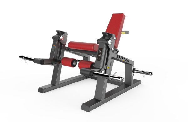 ISO Leg Extension