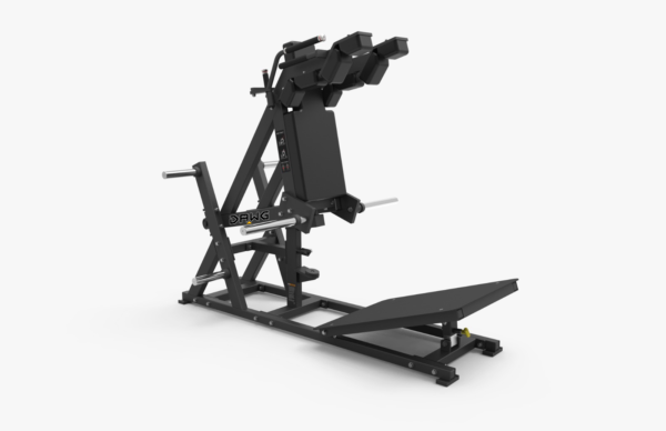 V Squat