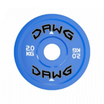 Fractional Plates