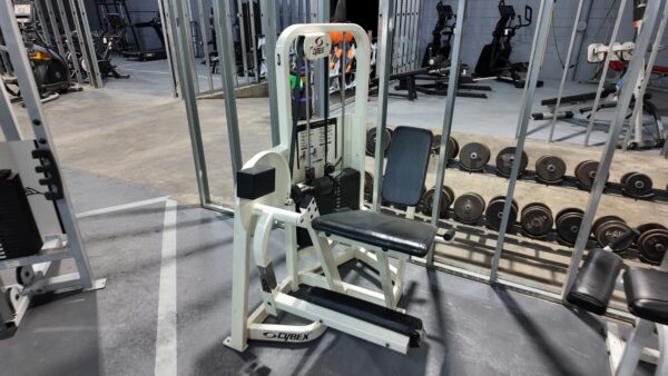 Cybex VR2 Leg Extension
