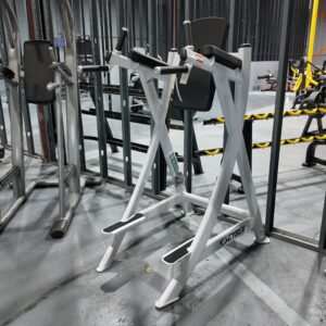 Cybex Vertical Knee Raise & Dip Station