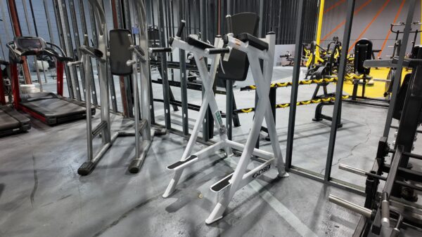 Cybex Vertical Knee Raise & Dip Station