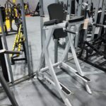 Cybex Vertical Knee Raise & Dip Station