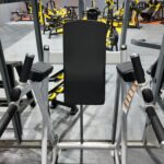 Cybex Vertical Knee Raise & Dip Station