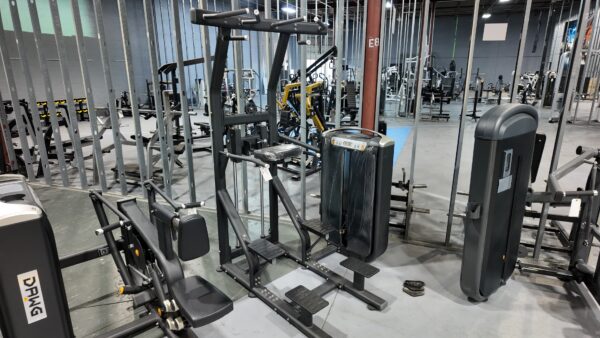 DAWG Assisted Pull-Up & Dip Machine