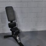 DAWG Upright Bench