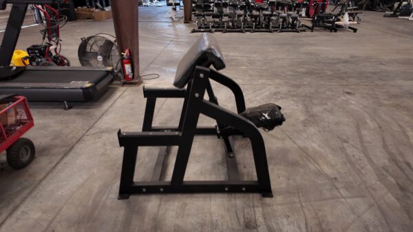 DAWG Preacher Curl Bench