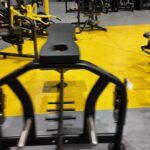 DAWG Plate-Loaded Seal Row Bench